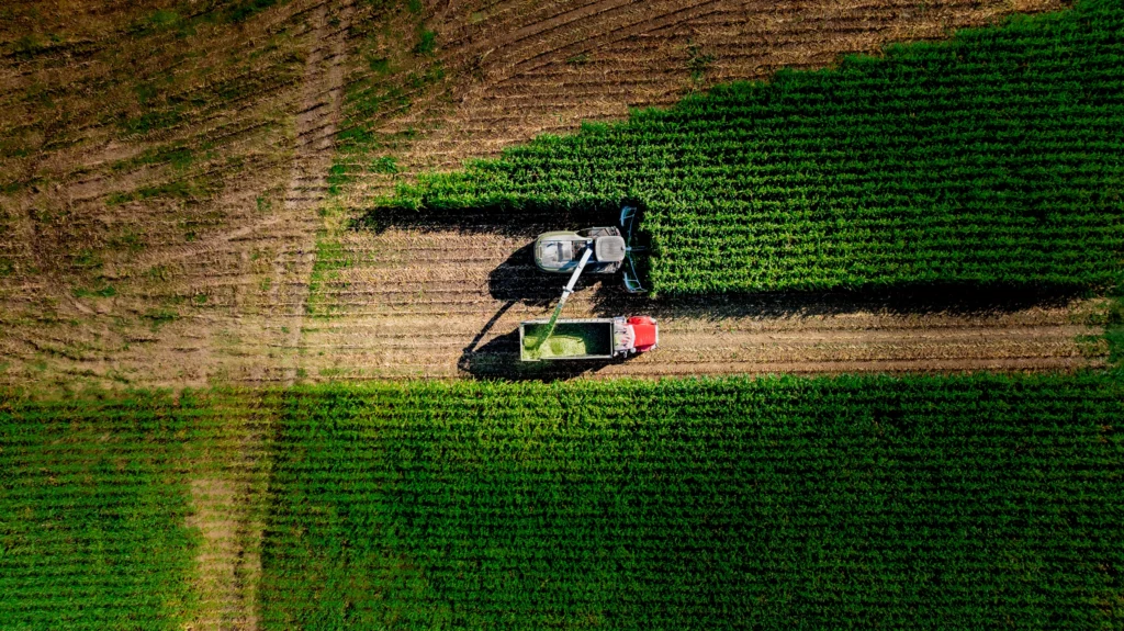 Top-down aerial photograph of farm machinery harvesting rows of corn in a field in Hebron, Connecticut.