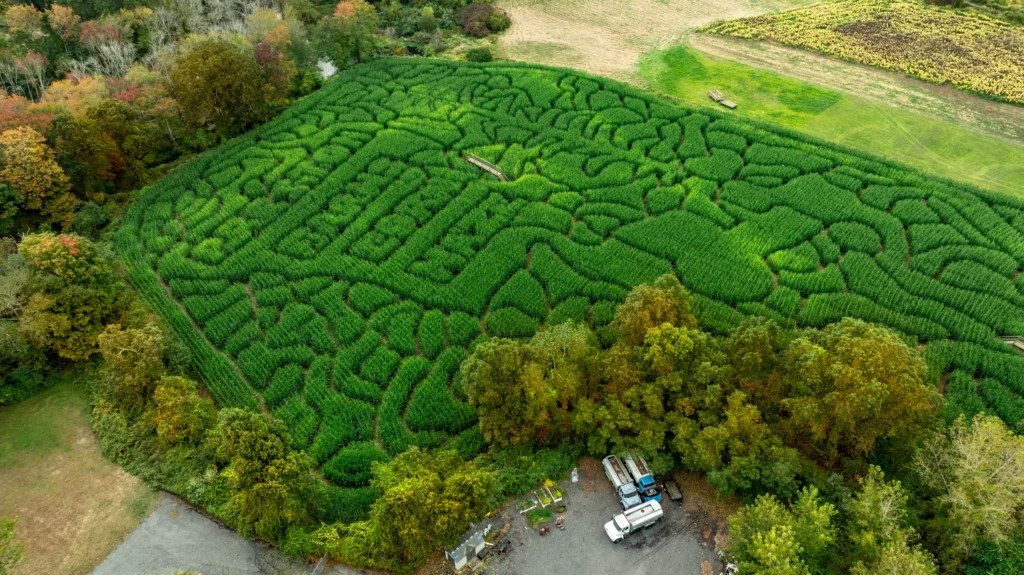 Aerial view of a large patterned corn maze in Preston, Connecticut, surrounded by fields and trees.