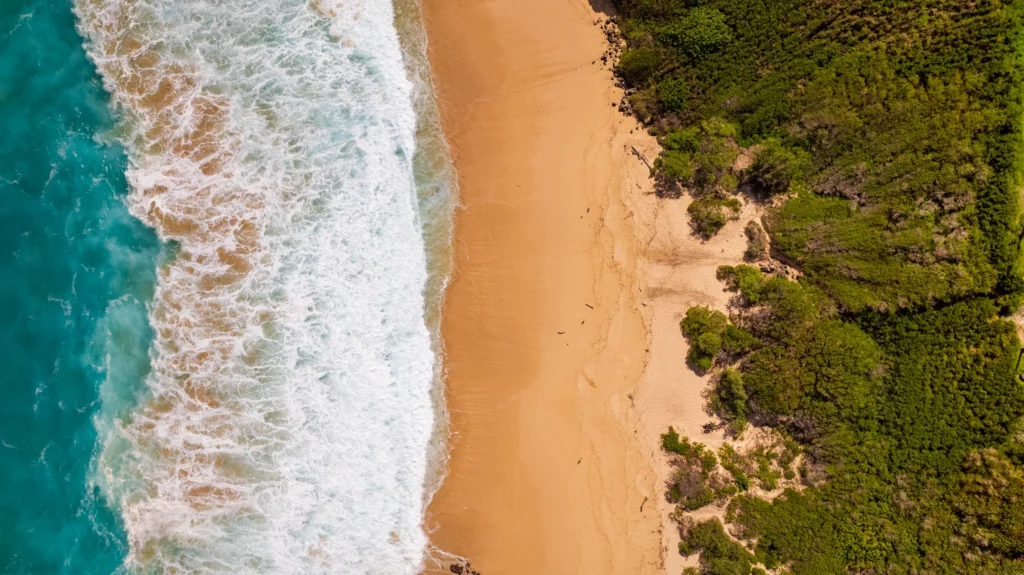 Top-down aerial photograph of a sandy Oahu beach with turquoise surf, breaking waves and dense coastal vegetation.